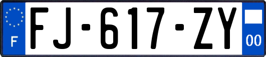 FJ-617-ZY