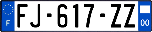 FJ-617-ZZ