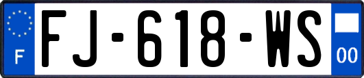 FJ-618-WS