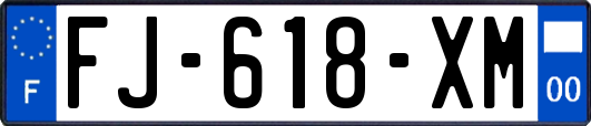 FJ-618-XM