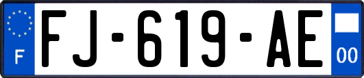 FJ-619-AE