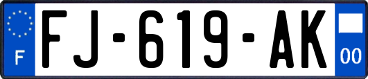 FJ-619-AK