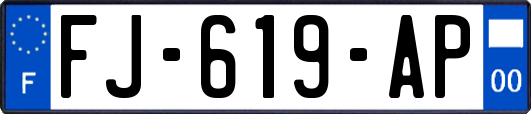 FJ-619-AP