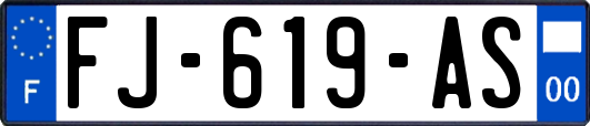 FJ-619-AS