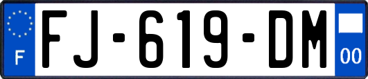 FJ-619-DM