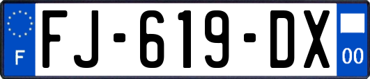 FJ-619-DX