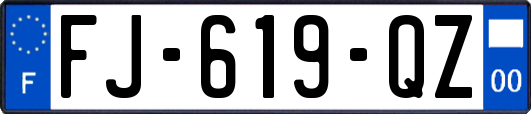 FJ-619-QZ