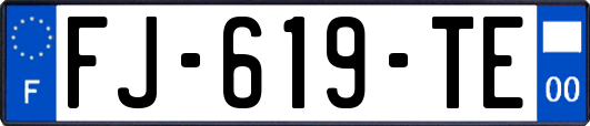 FJ-619-TE