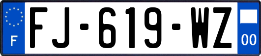 FJ-619-WZ