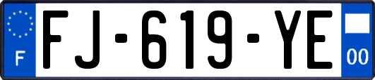 FJ-619-YE