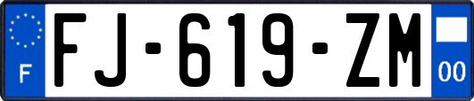 FJ-619-ZM