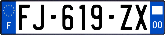 FJ-619-ZX