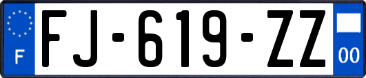 FJ-619-ZZ