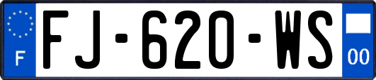 FJ-620-WS