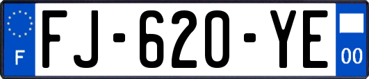 FJ-620-YE