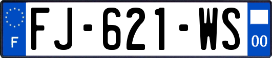 FJ-621-WS