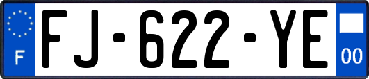 FJ-622-YE