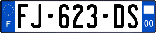 FJ-623-DS