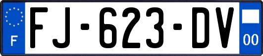 FJ-623-DV