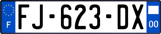 FJ-623-DX