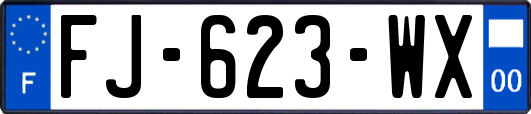 FJ-623-WX