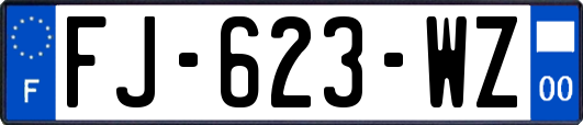 FJ-623-WZ