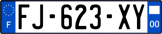 FJ-623-XY