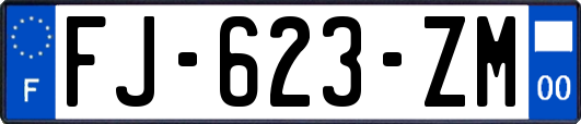 FJ-623-ZM