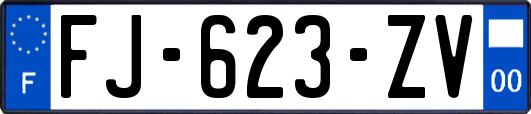 FJ-623-ZV