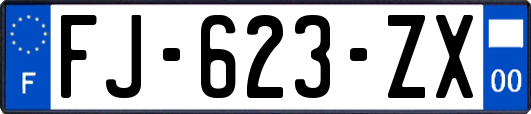 FJ-623-ZX