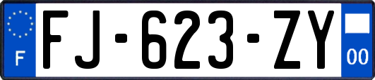 FJ-623-ZY