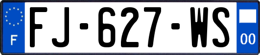 FJ-627-WS