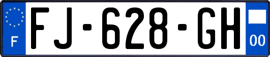 FJ-628-GH