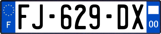 FJ-629-DX