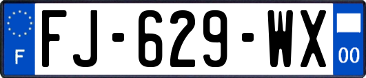 FJ-629-WX