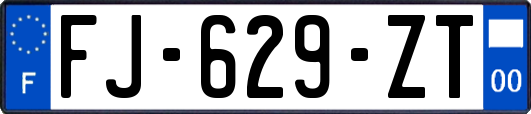 FJ-629-ZT