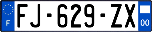 FJ-629-ZX