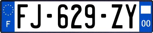 FJ-629-ZY