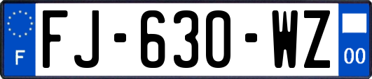 FJ-630-WZ