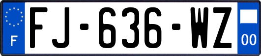 FJ-636-WZ