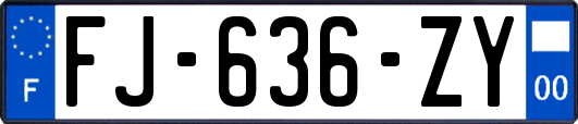 FJ-636-ZY