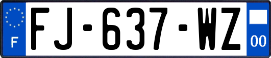 FJ-637-WZ