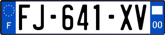 FJ-641-XV