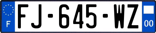 FJ-645-WZ