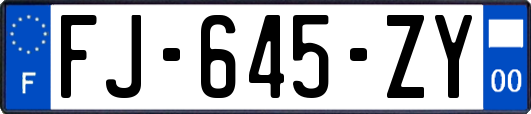 FJ-645-ZY