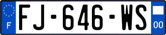 FJ-646-WS