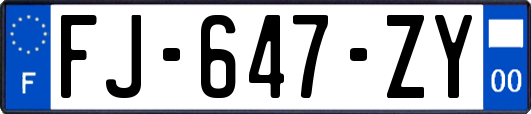 FJ-647-ZY