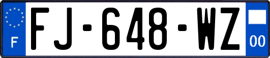 FJ-648-WZ