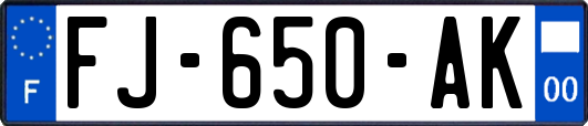 FJ-650-AK