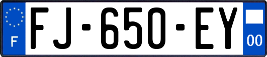 FJ-650-EY